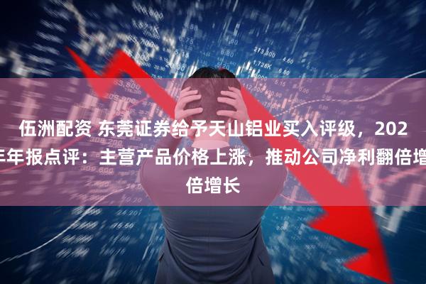 伍洲配资 东莞证券给予天山铝业买入评级，2024年年报点评：主营产品价格上涨，推动公司净利翻倍增长