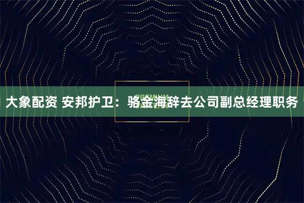 大象配资 安邦护卫：骆金海辞去公司副总经理职务