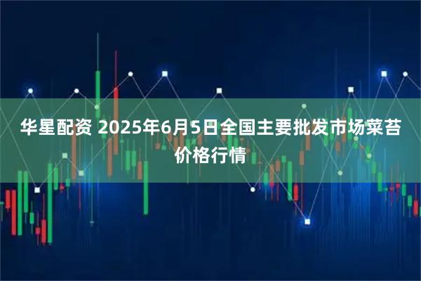 华星配资 2025年6月5日全国主要批发市场菜苔价格行情