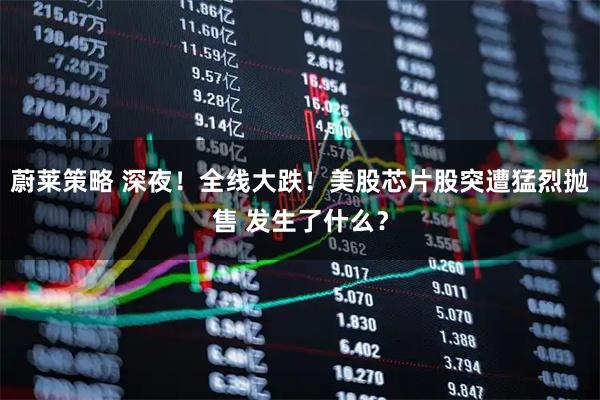 蔚莱策略 深夜！全线大跌！美股芯片股突遭猛烈抛售 发生了什么？