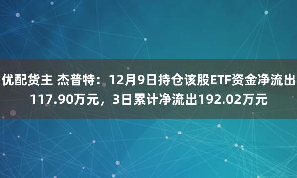 优配货主 杰普特：12月9日持仓该股ETF资金净流出117.90万元，3日累计净流出192.02万元