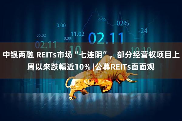 中银两融 REITs市场“七连阴”，部分经营权项目上周以来跌幅近10% |公募REITs面面观