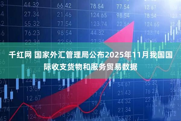 千红网 国家外汇管理局公布2025年11月我国国际收支货物和服务贸易数据