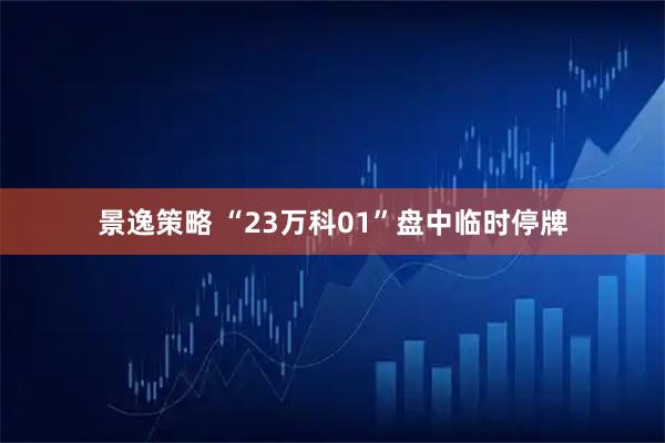 景逸策略 “23万科01”盘中临时停牌